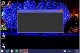 Adobe Flash Player for IE 15