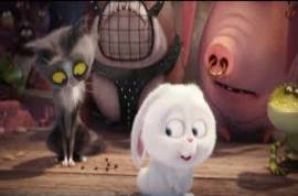 The Secret life of Pets NEW