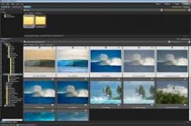 ACDSee Free 1